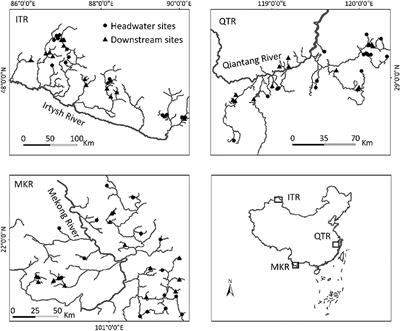 Environmental Factors Override Dispersal-Related Factors in Shaping Diatom and Macroinvertebrate Communities Within Stream Networks in China